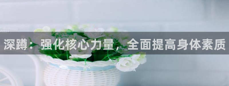 3377体育官网下载官方客服电话：深蹲：强化核心力量
