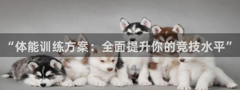 3377体育官网下载招商电话号码查询：“体能训练方案