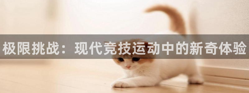 3377体育官方正版app集团官网首页网址：极限挑战