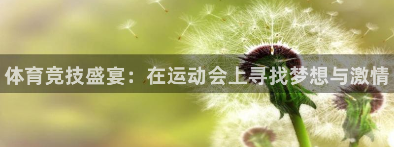 3377体育官网下载招商：体育竞技盛宴：在运动会上寻