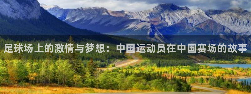 德国3377体育官方正版app集团：足球场上的激情与