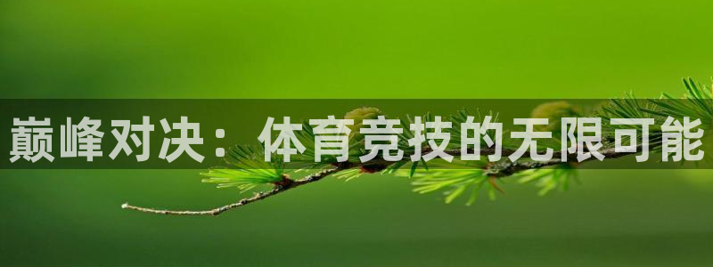 3377体育官网下载平台是正规平台吗安全吗：巅峰对决