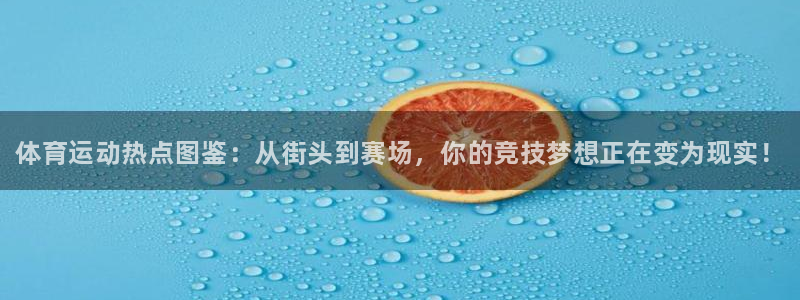 3377体育官方正版app娱乐下载：体育运动热点图鉴