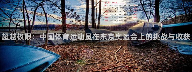 3377体育官网下载平台注册流程视频：超越极限：中国体育运动