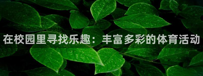 3377体育官网下载招商：在校园里寻找乐趣：丰富多彩