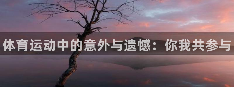 3377体育官方正版app官方：体育运动中的意外与遗憾：你我