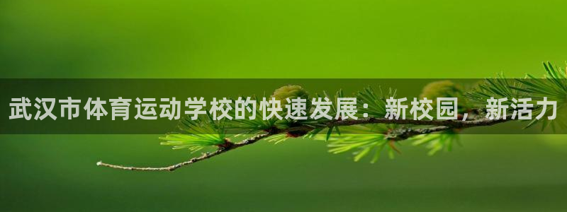 3377体育官网下载招商电话号码是多少：武汉市体育运动学校的