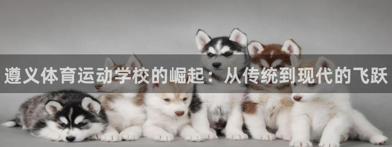 3377体育官网下载平台假的吗是真的吗：遵义体育运动学校的崛
