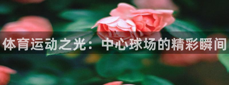 3377体育官网下载平台假的吗是真的吗：体育运动之光：中心球