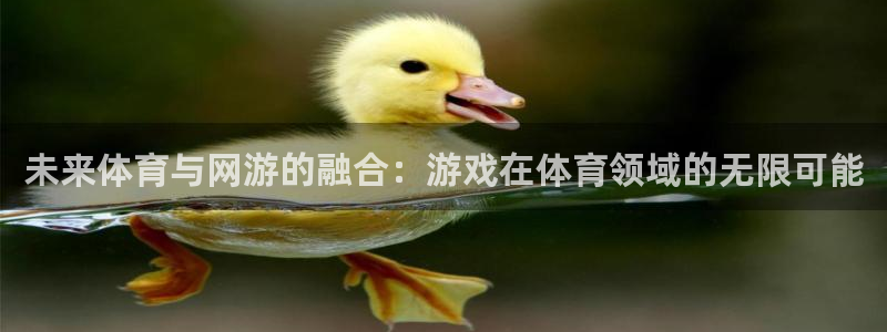3377体育官网下载平台APP：未来体育与网游的融合
