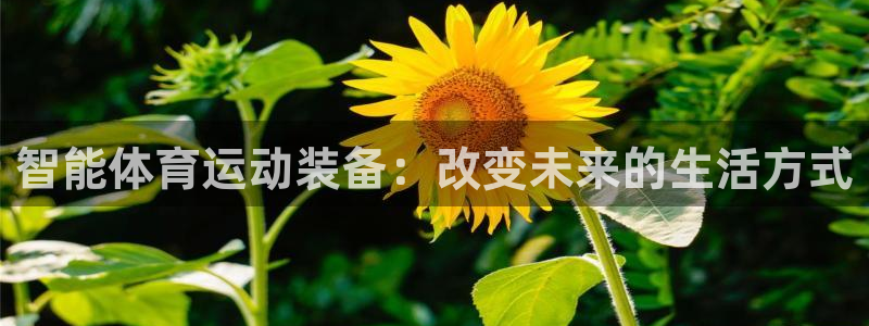 3377体育官方正版app新能源：智能体育运动装备：