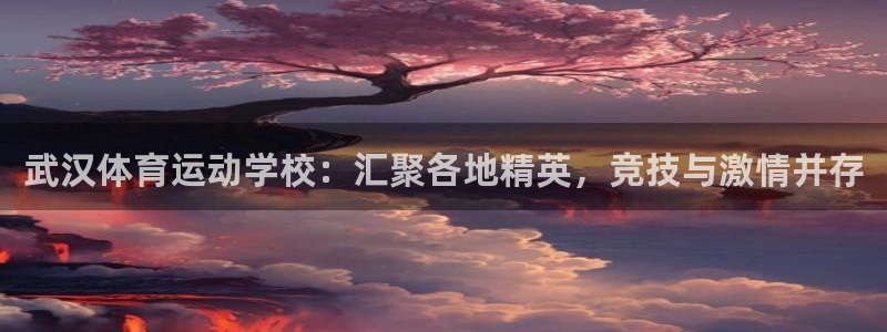 3377体育官方正版app娱乐下载：武汉体育运动学校