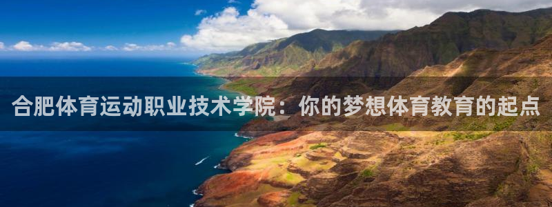3377体育官方正版app集团简介：合肥体育运动职业