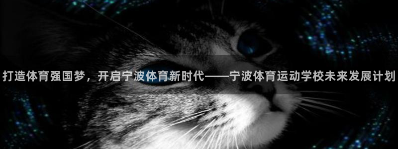 3377体育官方正版app娱乐首页网站大全：打造体育