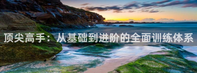 3377体育官方正版app五金厂：顶尖高手：从基础到