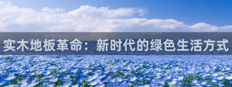 3377体育官方正版app官网：实木地板革命：新时代