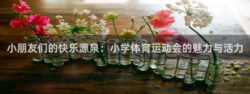 3377体育官方正版app神州：小朋友们的快乐源泉：小学体育