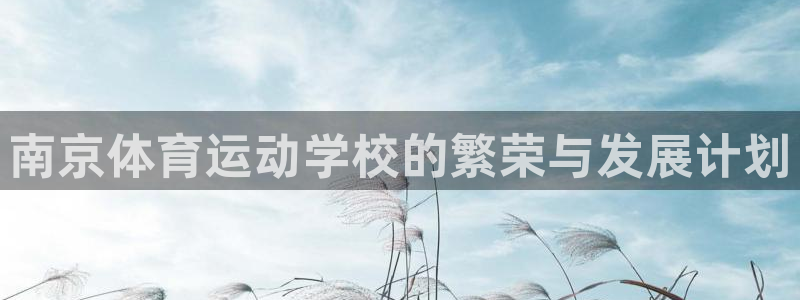 3377体育官方正版app集团logo：南京体育运动