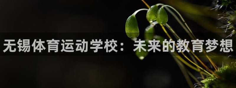 3377体育官方正版app集团：无锡体育运动学校：未来的教育