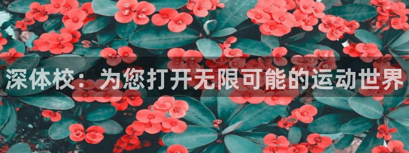 3377体育官方正版app官方：深体校：为您打开无限