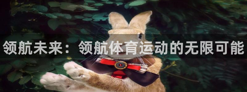 3377体育官网下载平台是正规平台吗知乎：领航未来：领航体育