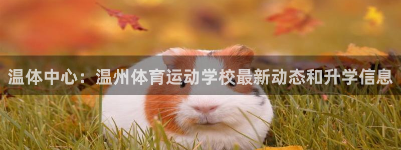 3377体育官方正版app集团官网首页网址：温体中心：温州体
