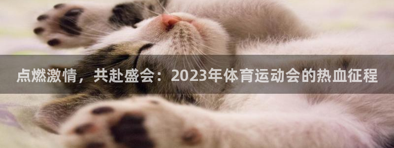 3377体育官网下载招商电话地址查询