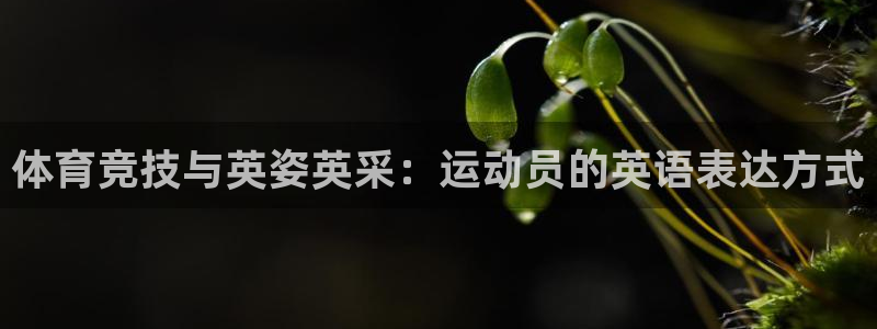 3377体育官方正版app集团：体育竞技与英姿英采：