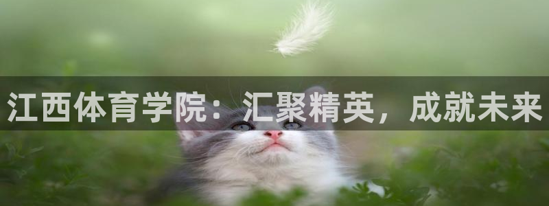 3377体育官网下载招商电话地址