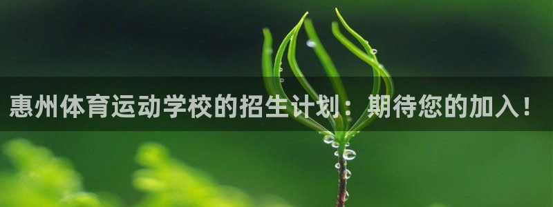 3377体育官网下载是干嘛的公司:惠州体育运动学校的招生计划