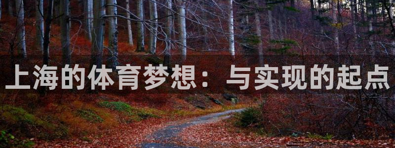 3377体育官网下载平台APP：上海的体育梦想：与实现的起点